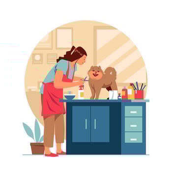 Dog Groomer at Work vector