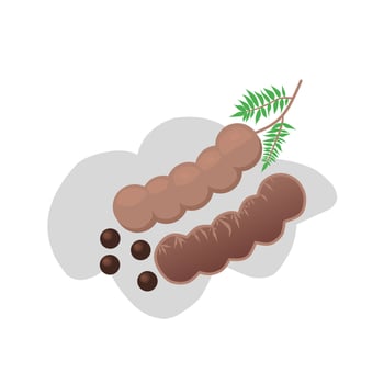 Tamarind fruit illustration image. Tamarind fruit icon, fruit. vector