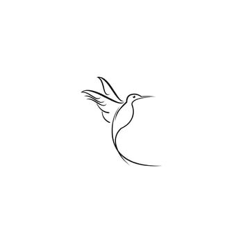 Hummingbird vector logo design. Bird vector logo design.