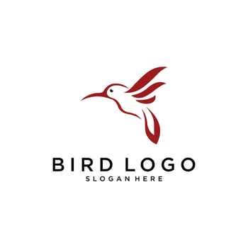 Hummingbird vector logo design. Bird vector logo design.