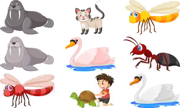 Set of various wild animals in cartoon style vector