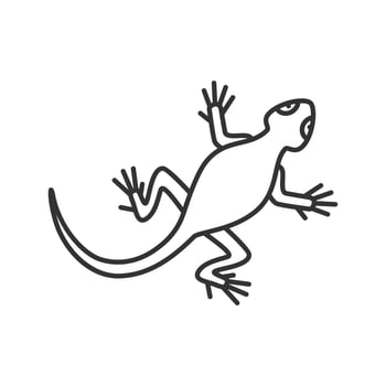 Lizard linear icon. Thin line illustration. Salamander. Contour symbol. Vector isolated outline drawing