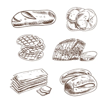 Vintage hand drawn sketch style bakery set. Bread and pastry on white background. Vector illustration. Icons and elements for print, web, mobile and infographics.
