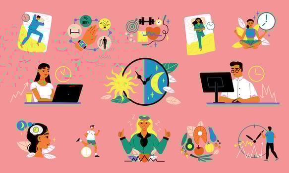 Circadian Rhythm Color Set vector