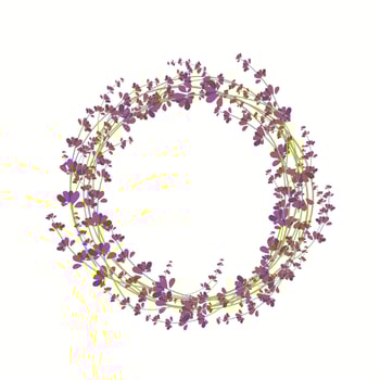 lavender flower wreath on a white background with space for your label. Vector illustration