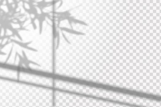 Soft shadow from the window form crystal rainbow  light and  flare transparent effects. Scenes of natural lighting. vector
