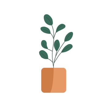 Hand drawn tropical plant in potted decorative plants for home and office vector flat. Plants illustration isolated on white background.