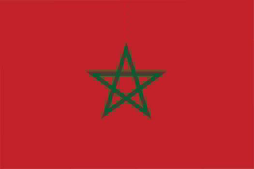 flag of kingdom marocco vector