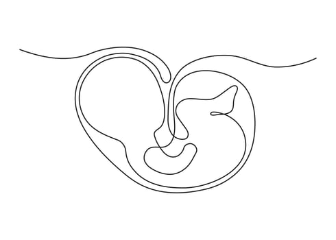 Baby embryo in womb, fetus one art line continuous drawing. Silhouette cute unborn fetus child on mother womb in minimalism single outline draw. Little kid is lies on stomach. Vector illustration