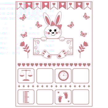 Cartoon template of baby birth certificate for girls. Named Rachel vector