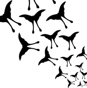 Black butterfly group. Butterfly silhouette design. Isolated on a white background. Vector illustration
