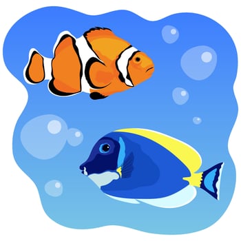 Tropical fish vector illustration. Clown fish. Surgeon fish.