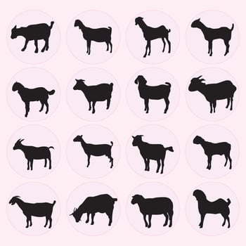 Set of goat silhouette vector
