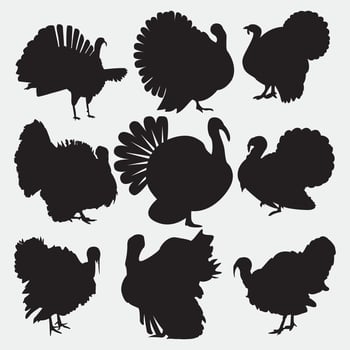 Farm Animal Turkey In Silhouette vector