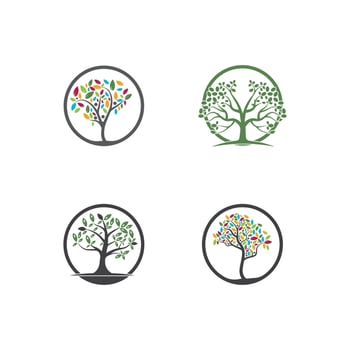 Tree Vector ,hand drawn,  illustration of  Olive tree vector design template