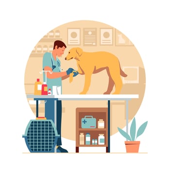 Veterinarian Hospital Concept vector