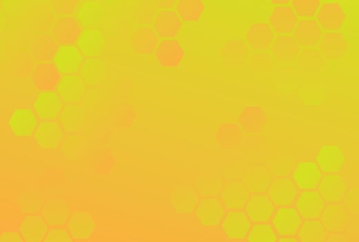Backgorund Template Design vector