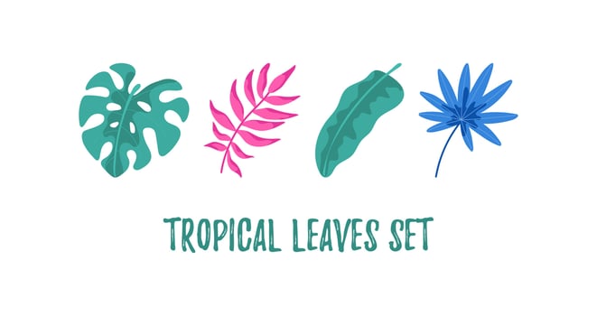 Set of hand drawn tropical leaves isolated on white vector