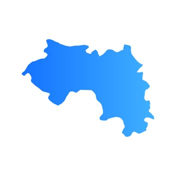 Guinea map on white background vector