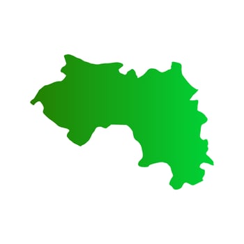 Guinea map on white background vector
