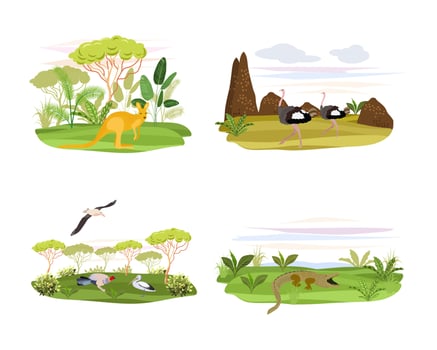 Australian landscape.Plants,animal and trees. vector