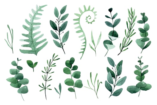 watercolor drawing. set of forest leaves and herbs. green leaves, fern, eucalyptus, lavender, rosemary vector
