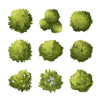 Set of Architectural Tree Plan vector