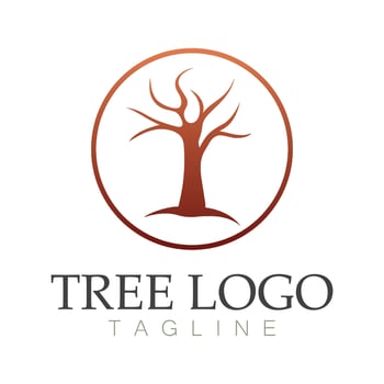 Tree logo icon vector illustration design.Vector silhouette of a tree templates of tree logo and roots  tree of life design illustration