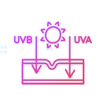 Sun effect on skin gradient linear vector icon. Ultraviolet rays types. Sun exposure damage. Skin aging and burning. Thin line color symbol. Modern style pictogram. Vector isolated outline drawing