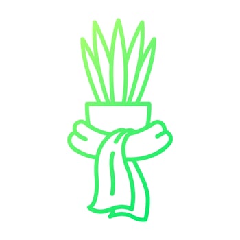 Keep houseplant warm in winter gradient linear vector icon. Prevent damage in wintertime. Wrapped indoor plant. Thin line color symbol. Modern style pictogram. Vector isolated outline drawing