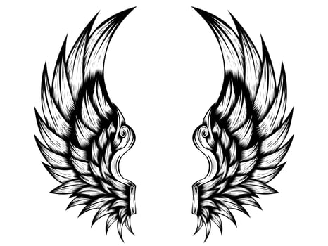 Angel wings vector design free download