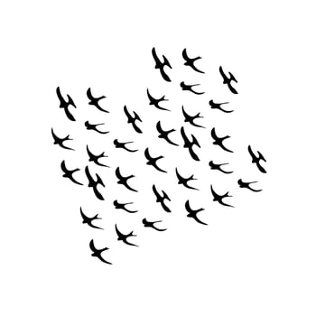 A group of black birds flying together silhouettes. Isolated on a white background. Vector illustration