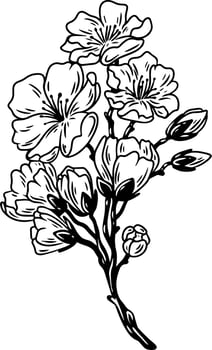 A blooming cherry branch. Linear illustration. vector