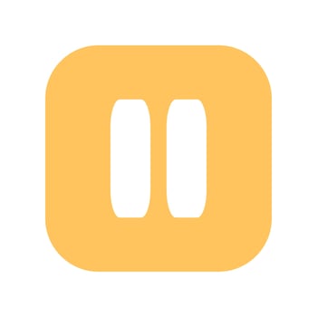 Pause button flat vector icon