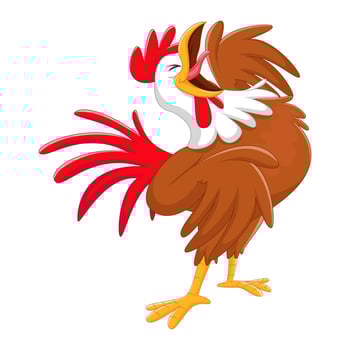 rooster crowing cartoon illustration vector
