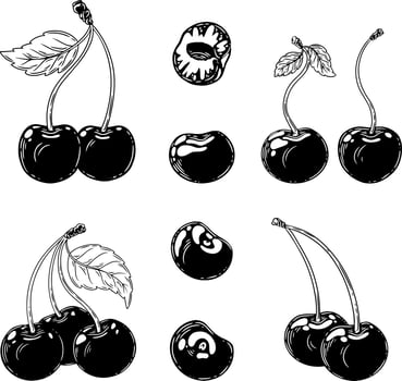 A set of cherries. Linear ink illustration. vector