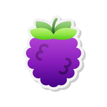 Blackberry sticker icon, Vector, Illustration. vector