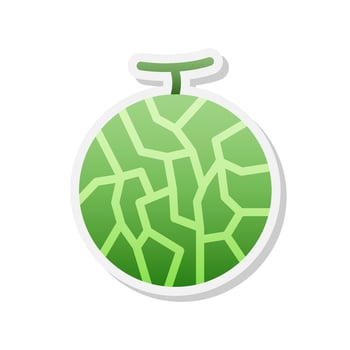 Cantaloupe sticker icon, Vector, Illustration. vector