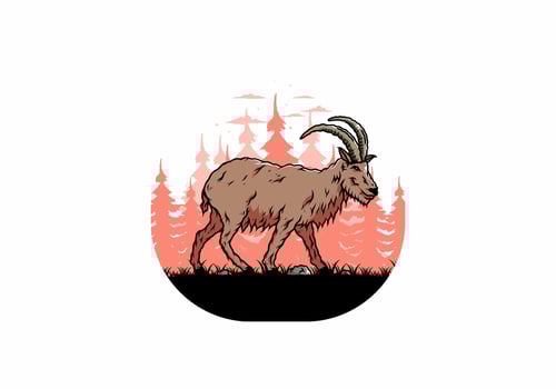 Hairy mountain goat with long horns vector