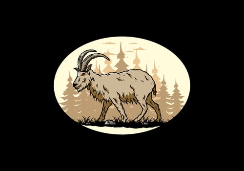 Hairy mountain goat with long horns vector