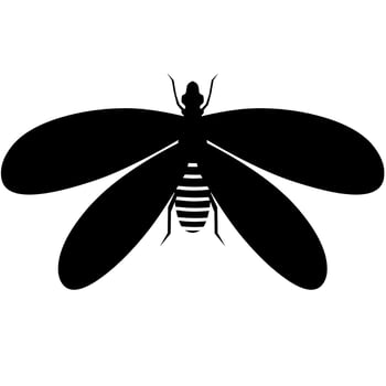 Alates termite silhouette vector illustration. Isolated on a white background.