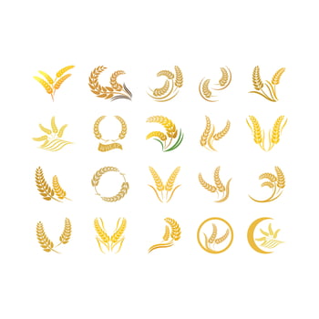 Wheat logo vector icon illustration
