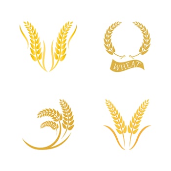 Wheat logo vector icon illustration