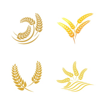 Wheat logo vector icon illustration