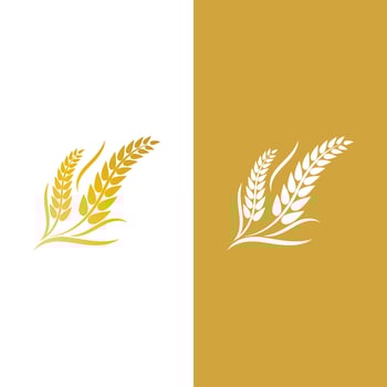 Wheat logo vector icon illustration
