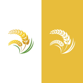Wheat logo vector icon illustration