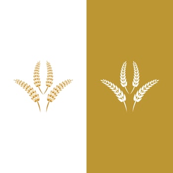 Wheat logo vector icon illustration