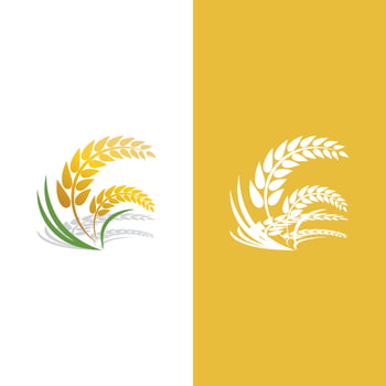 Wheat logo vector icon illustration