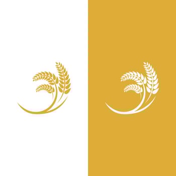 Wheat logo vector icon illustration