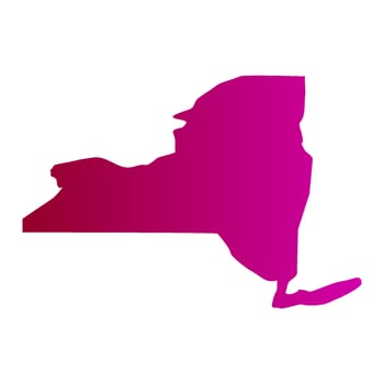 New york map illustrated vector